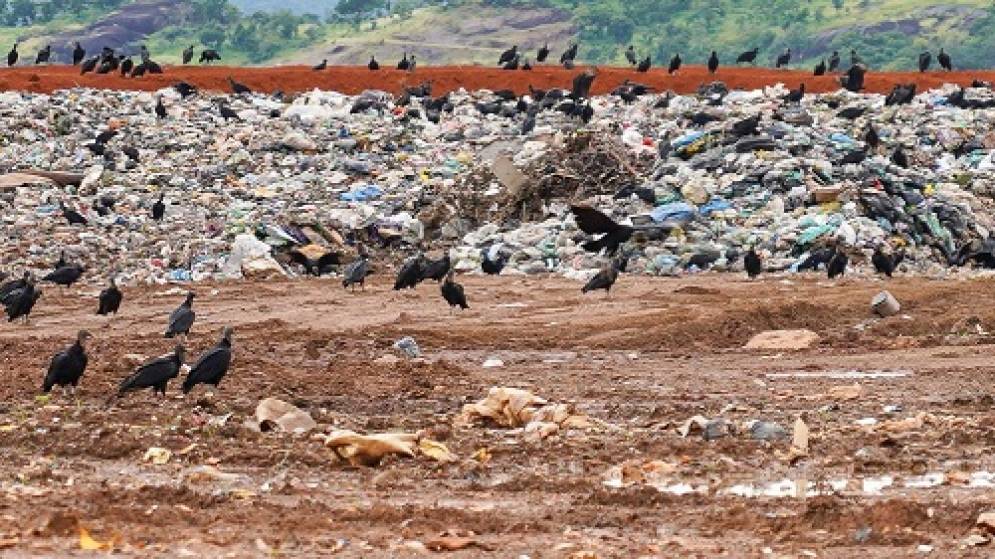Descarte incorreto de resíduos traz prejuízos ao meio ambiente e à saúde pública
